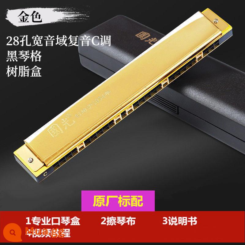 Đích thực Guoguang harmonica 24 lỗ đa âm C-tune mới bắt đầu học sinh trẻ em tự học mục cửa nhạc cụ đàn organ - Vàng đa âm 28 lỗ Guoguang [tiêu chuẩn gốc]