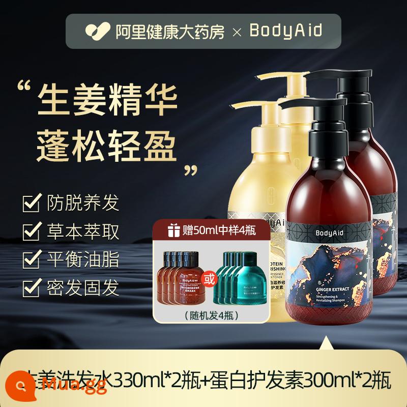 Bodyaid bồ kết lá gừng dầu gội chống rụng tăng tóc chắc tóc mọc chắc chân kiểm soát dầu gội mềm mượt - Gừng chống rụng tóc 330ml*2 chai + dầu xả protein 300ml*2 chai