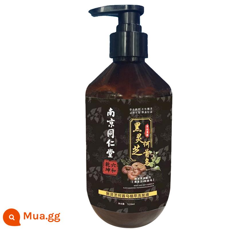 Dầu gội Black Ganoderma và Polygonum Multiflorum dành cho tóc trắng Điều trị chính hãng chính hãng dành cho tóc đen tận gốc và Cửa hàng hàng đầu Tinh chất đen để gội đầu - Dầu gội He Shou Wu