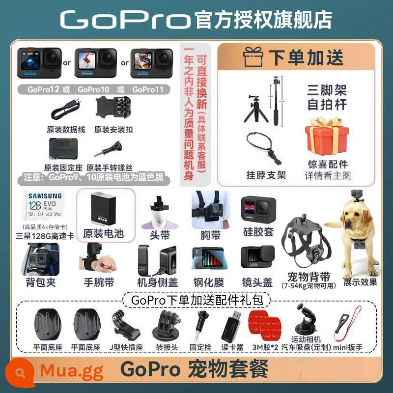 Flagship Store GoPro12/11 Camera hành động HD 5K Phát sóng trực tiếp Camera chống nước Đi xe đạp Thú cưng Extreme Dog 10 - Bộ đồ thú cưng dễ thương GoPro Chào mừng bạn đến tham khảo