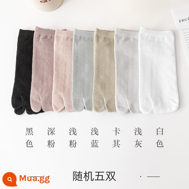 Vớ vào mô hình mùa thu và mùa đông 2022 Mid -cotton Cotton Long Desss Ladies Loms Bông vào mùa đông dày lên - [5 cặp ngẫu nhiên] 4052