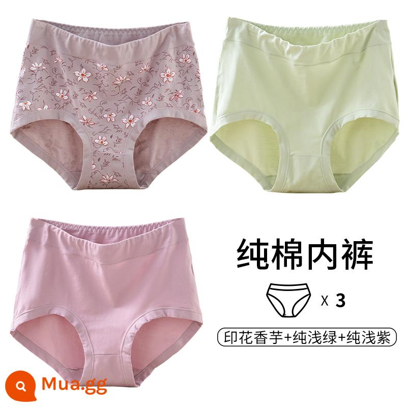 Quần lót của mẹ vải cotton nguyên chất lưng cao cỡ lớn đồ lót tam giác dành cho người trung niên và người già dành cho phụ nữ và người già quần short cotton rộng rãi - [3 món] In hoa mai + In xanh nhạt + Tím nhạt thuần khiết