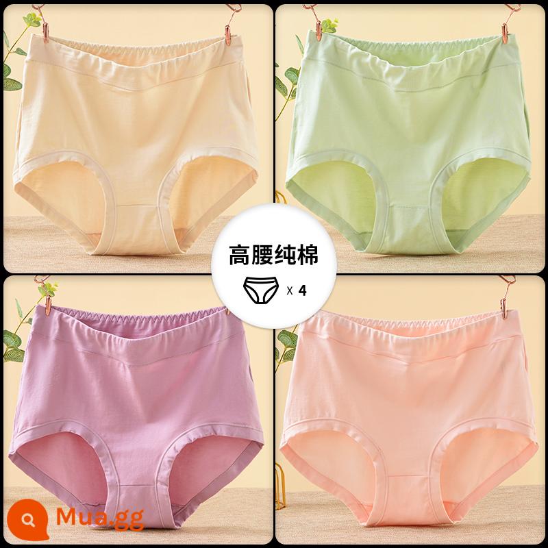 Quần lót của mẹ vải cotton nguyên chất lưng cao cỡ lớn đồ lót tam giác dành cho người trung niên và người già dành cho phụ nữ và người già quần short cotton rộng rãi - [4 món] Màu da thuần khiết + Xanh nhạt thuần khiết + Tím nhạt thuần khiết + Mai thuần khiết