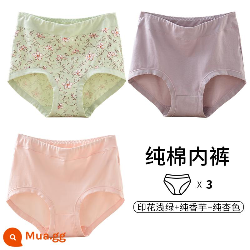 Quần lót của mẹ vải cotton nguyên chất lưng cao cỡ lớn đồ lót tam giác dành cho người trung niên và người già dành cho phụ nữ và người già quần short cotton rộng rãi - [3 món] In màu xanh nhạt + khoai môn nguyên chất + mơ nguyên chất