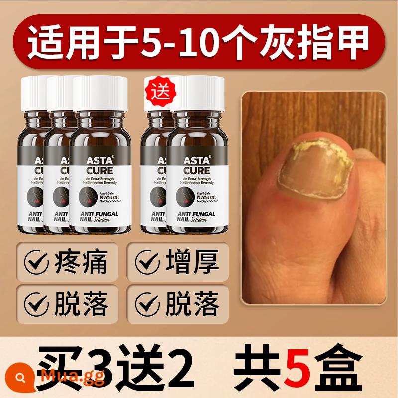 Rễ thuốc chuyên dụng của onychomycosis, cửa hàng hàng đầu đích thực - [Vừa 5 chai] (Mua 3 tặng 2) 5-10 nấm móng