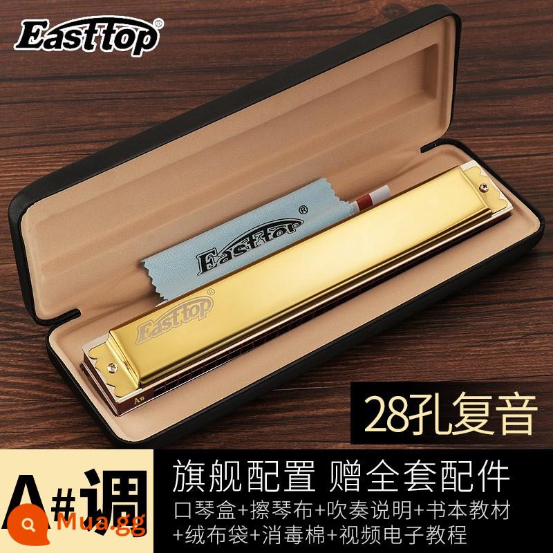 Kèn harmonica 28 lỗ 28 lỗ, kèn harmonica sậy phương Đông, cao cấp T28-1, đa âm đẳng cấp trình diễn chuyên nghiệp, giai điệu #CABDEFG - Vàng đa âm 28 lỗ [#A/A Sharp=bB/B giáng]