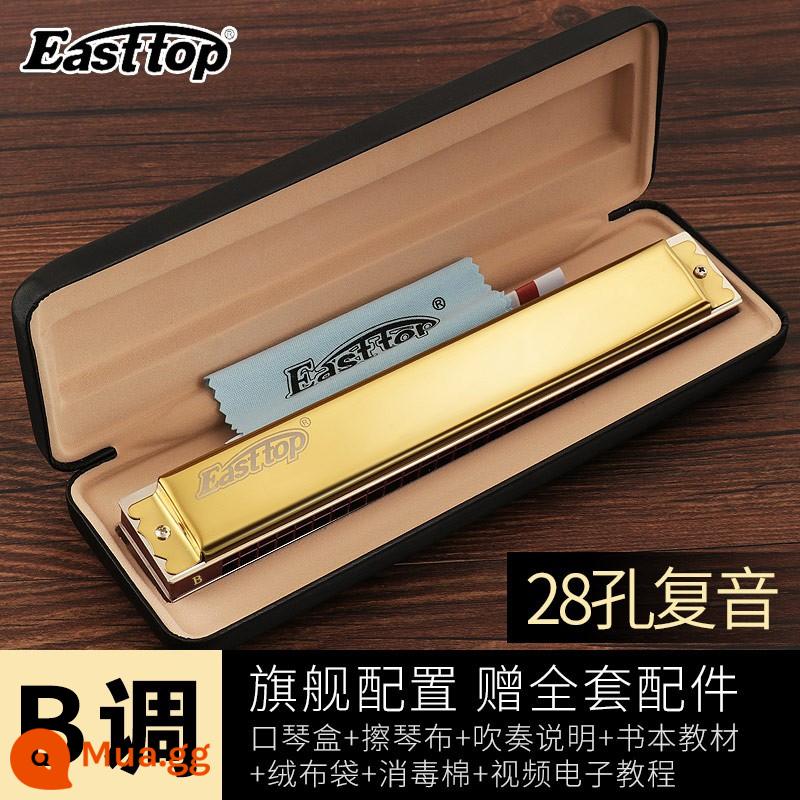 Kèn harmonica 28 lỗ 28 lỗ, kèn harmonica sậy phương Đông, cao cấp T28-1, đa âm đẳng cấp trình diễn chuyên nghiệp, giai điệu #CABDEFG - Vàng đa âm 28 lỗ [Phím B]