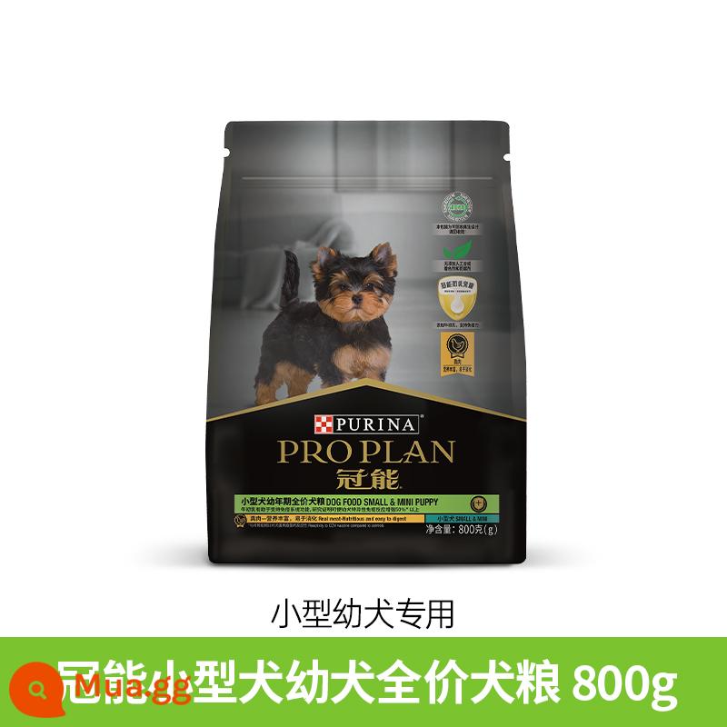 [Nâng cấp mới] Thức ăn cho chó Guanneng cho chó trưởng thành nhỏ Teddy Bichon giá đầy đủ thức ăn cho chó trưởng thành tiêu hóa thông thường 1.6kg - [Dùng thử trong thời gian có hạn] Thức ăn cho chó con nhỏ 800g