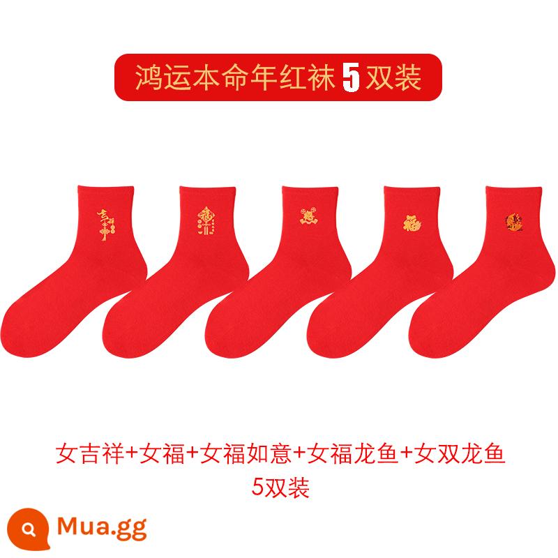 Hongyun SOCKS được định sẵn là năm của những con thỏ, vớ màu đỏ trung bình, chiếc vớ kết hôn bằng vải cotton mềm bằng ống nhỏ - [Tất nữ] Cát tường + Fu + Như Ý + Fu Rồng đỏ + Cá rồng đôi (5 đôi giá 5700)