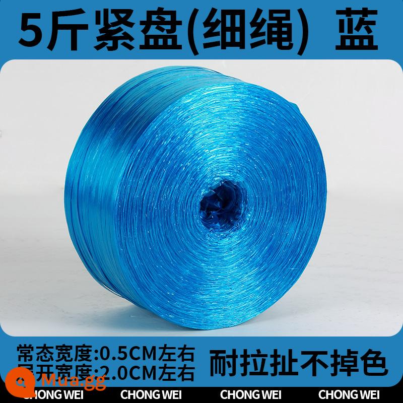 Dây nylon đóng gói dây nhựa dây ràng buộc dây ràng buộc chịu mài mòn bọc túi dây vật liệu mới toàn bộ gói dây ràng buộc - [Xanh 2cm] Đĩa 5 cân