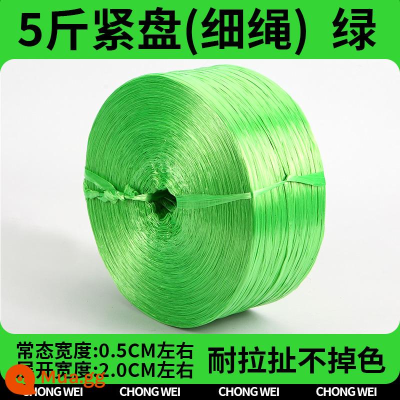 Dây nylon đóng gói dây nhựa dây ràng buộc dây ràng buộc chịu mài mòn bọc túi dây vật liệu mới toàn bộ gói dây ràng buộc - [Xanh 2cm] Đĩa 5 cân