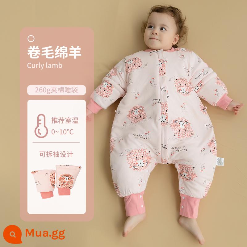 Túi Ngủ Cho Bé Mùa Thu Đông Túi Ngủ Dày Bằng Cotton Nguyên Chất Vỏ Chống Đá Trẻ Em Sơ Sinh Bé Sơ Sinh Xẻ Chân Túi Ngủ Đa Năng Cho Tất Cả Các Mùa - Cừu xoăn (260g chần bông) nhiệt độ áp dụng 0-10 độ