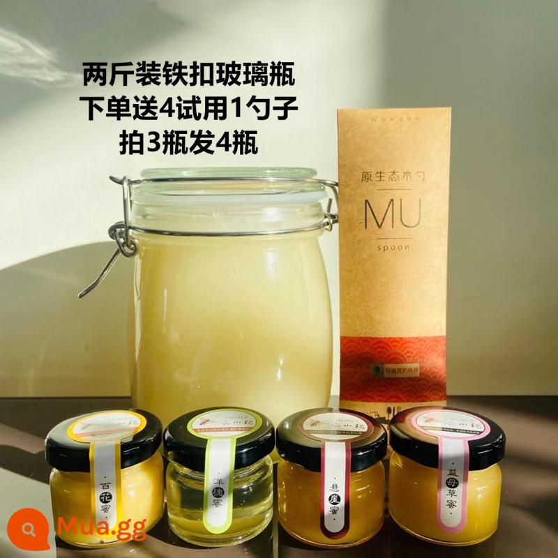 Baiyu loquat mật ong nguyên chất mật ong nông dân tự sản xuất tự nhiên mùa đông hoang dã mật ong trẻ em phụ nữ thai sản Dongshan pipa mật ong - 2 pound chai khóa thép mật ong sơn trà đi kèm 4 lần dùng thử miễn phí