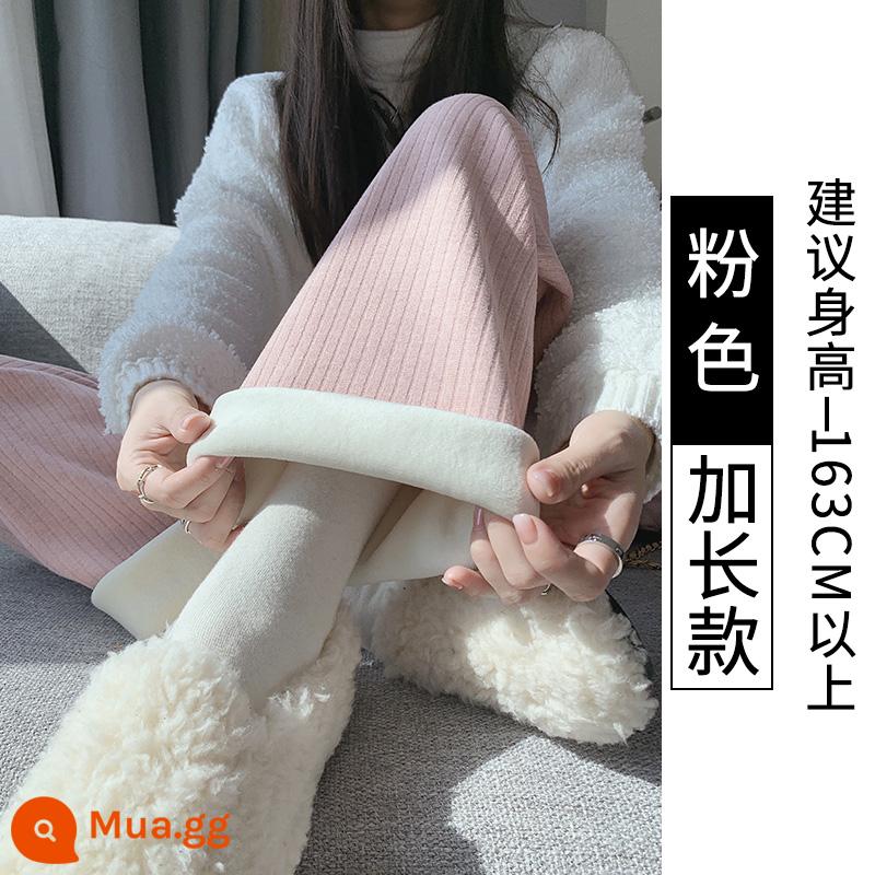 Trắng dệt kim nhung quần ống rộng nữ mùa thu đông cao cấp xếp nếp rời cashmere dày thẳng ống sáp mềm quần - Hồng nhung [phần mở rộng]