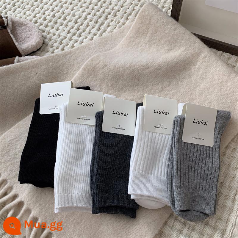 Tất Xám Nữ Đến Giữa Bắp Chân Tất Thu Đông Cotton Nguyên Chất Ins Hợp Thời Trang Dày Ấm Áp Thể Thao Trắng Mùa Đông Dài bong Bóng Tất - Dải đen mỏng - dải trắng mỏng - dải mỏng xám đậm - sọc trắng rộng - sọc rộng xám nhạt 90% lựa chọn