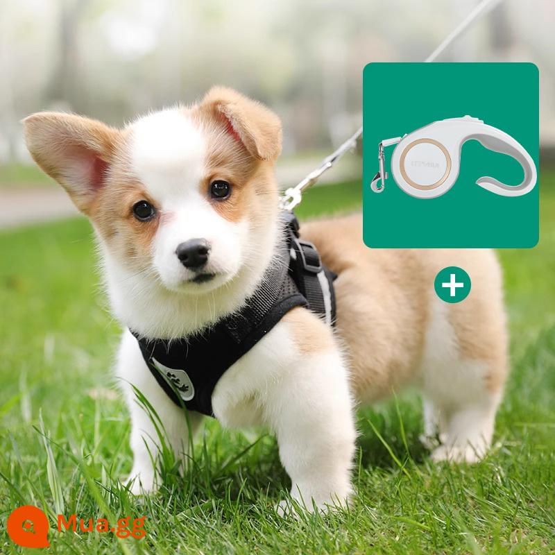 Áo vest loại dây xích chó nhỏ ngực chó túi đựng bé Teddy Corgi chó con chó con dây xích chó đi dạo dây ngực tàu sân bay - Đen + Dây kéo tự động thu gọn 3m.