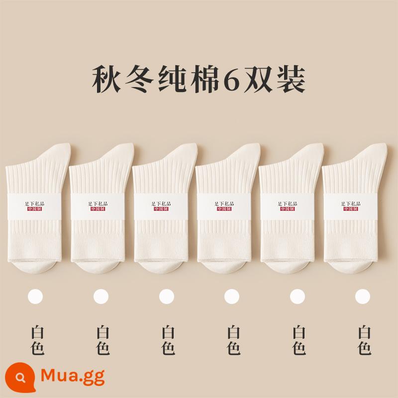 Tất Nữ Thu Đông Hàng Trung Cổ Cotton Nguyên Chất Thu Đông Hàng Chính Hãng Nhật Bản 100% Sau Sinh Tất Không Xương Nữ - Trắng 6 đôi