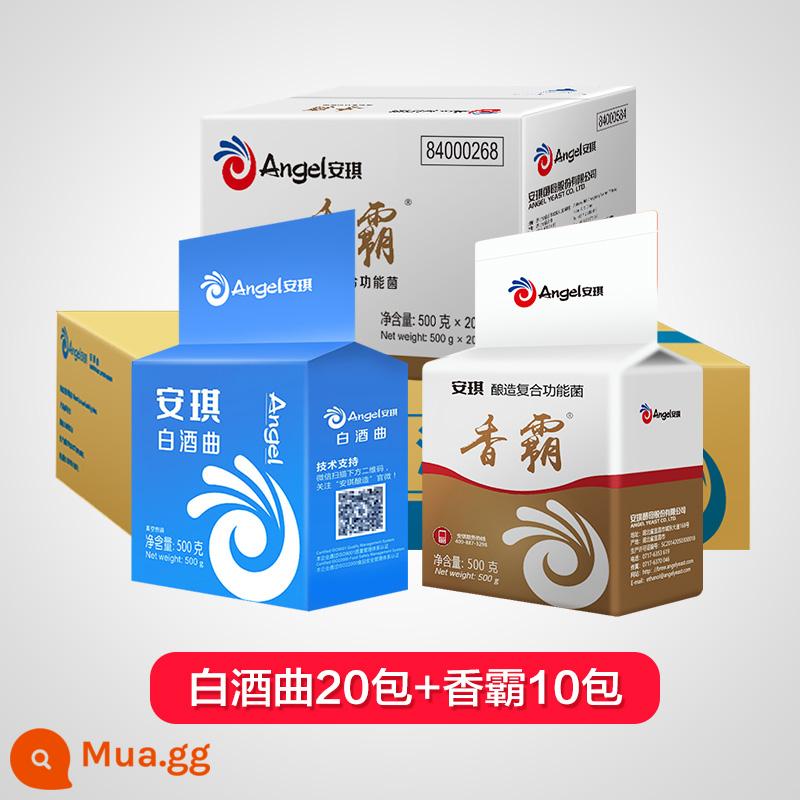 [Chính thức tự vận hành] Angel Baijiu Koji Hộ gia đình Saccharomyces Men Nguyên chất truyền thống và Grog Thuốc Koji năng suất cao đặc biệt 10kg - [Năng suất cao và hương vị nâng cao] 1 hộp Baijiu Koji (10kg) + 10 gói Xiangba (5kg)