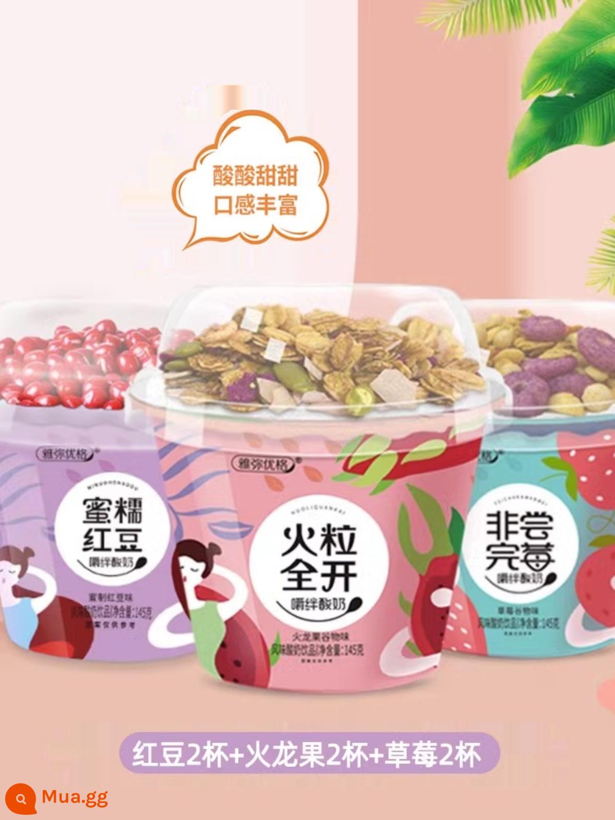 Nhai sữa chua Mô hình nổ rung động dụng ăn sữa chua bột yogurt Bữa ăn lớn thay thế phụ nữ mang thai hộp đầy đủ hộp sữa chua - [157g*6 cốc]★Dâu 2+Đậu đỏ 2+Thanh long 2