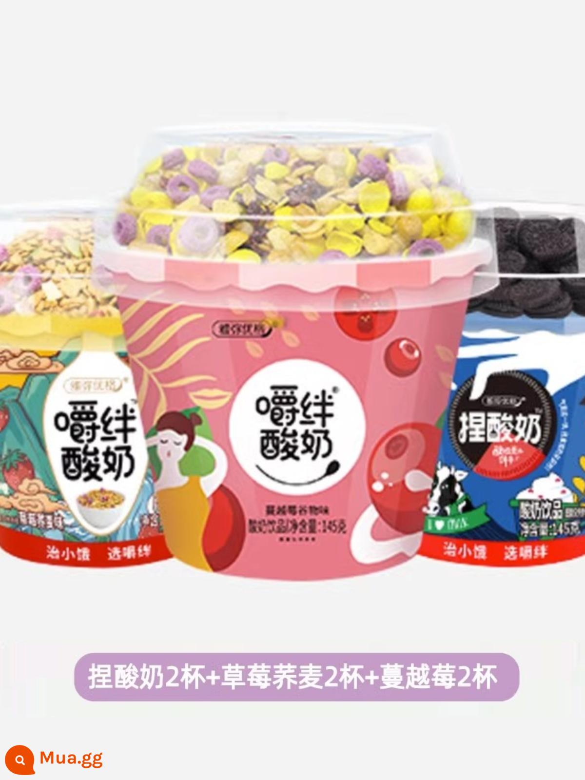 Nhai sữa chua Mô hình nổ rung động dụng ăn sữa chua bột yogurt Bữa ăn lớn thay thế phụ nữ mang thai hộp đầy đủ hộp sữa chua - [157g*6 cốc]★Quả nam việt quất 2+Kiều mạch 2+Bánh quy 2