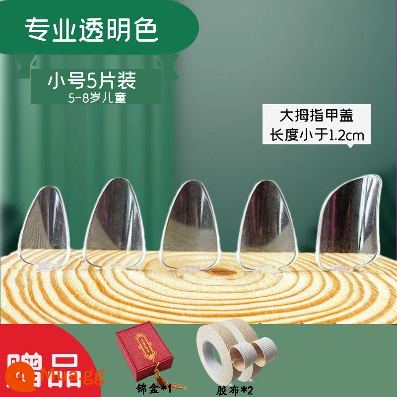 Người lớn và trẻ em trình độ đầu vào pipa nail kỳ thi chứng chỉ chuyên nghiệp chơi áo giáp celluloid trong suốt màu đồi mồi người mới bắt đầu kích thước trung bình - Kèn Trumpet trong suốt chuyên nghiệp đựng trong hộp thổ cẩm (2 đôi) + 2 cuộn băng dính