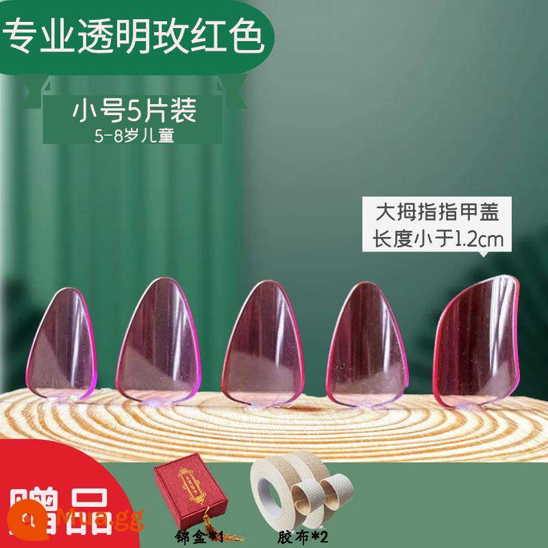 Người lớn và trẻ em trình độ đầu vào pipa nail kỳ thi chứng chỉ chuyên nghiệp chơi áo giáp celluloid trong suốt màu đồi mồi người mới bắt đầu kích thước trung bình - Hộp thổ cẩm kèn đỏ chuyên nghiệp (2 đôi) + 2 cuộn băng dính