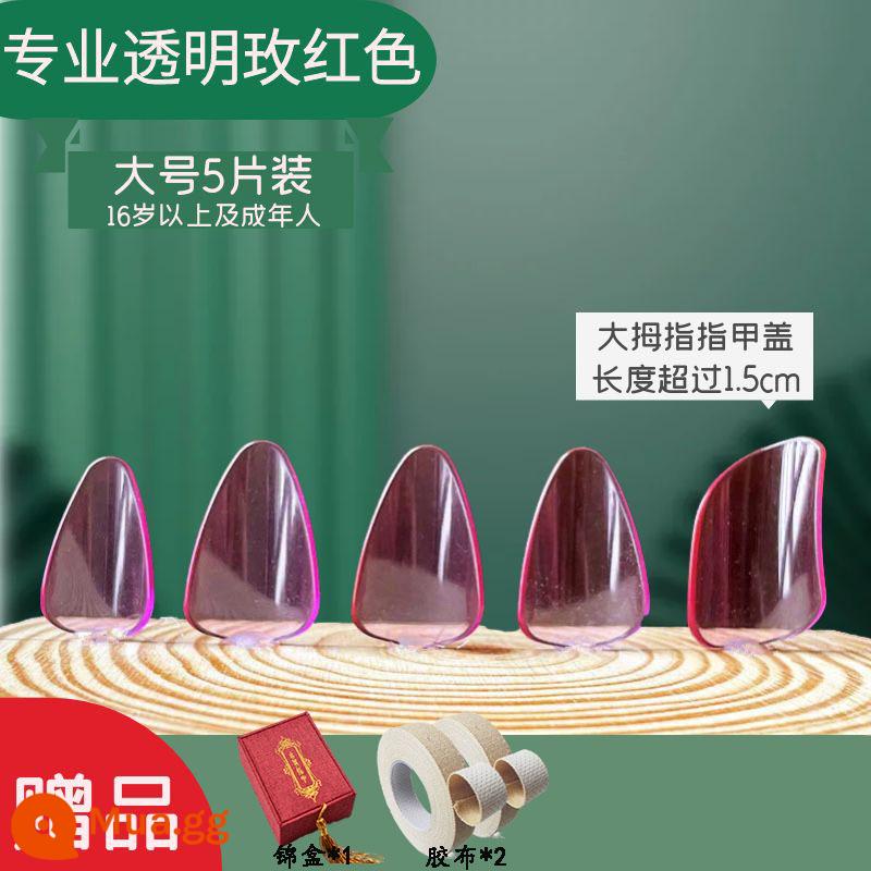 Người lớn và trẻ em trình độ đầu vào pipa nail kỳ thi chứng chỉ chuyên nghiệp chơi áo giáp celluloid trong suốt màu đồi mồi người mới bắt đầu kích thước trung bình - Hộp thổ cẩm chuyên nghiệp màu đỏ hồng size lớn (2 đôi) + 2 cuộn băng dính