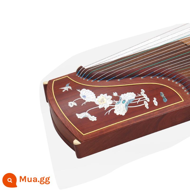 Gỗ nguyên khối 163 guzheng cửa hàng đàn piano khuyến nghị người mới bắt đầu kiểm tra đầu vào giảng dạy cấp độ mười chuyên nghiệp chơi đàn tam thập lục cho trẻ em người lớn - Bingqing Yujie (bộ đầy đủ + ghế đẩu)