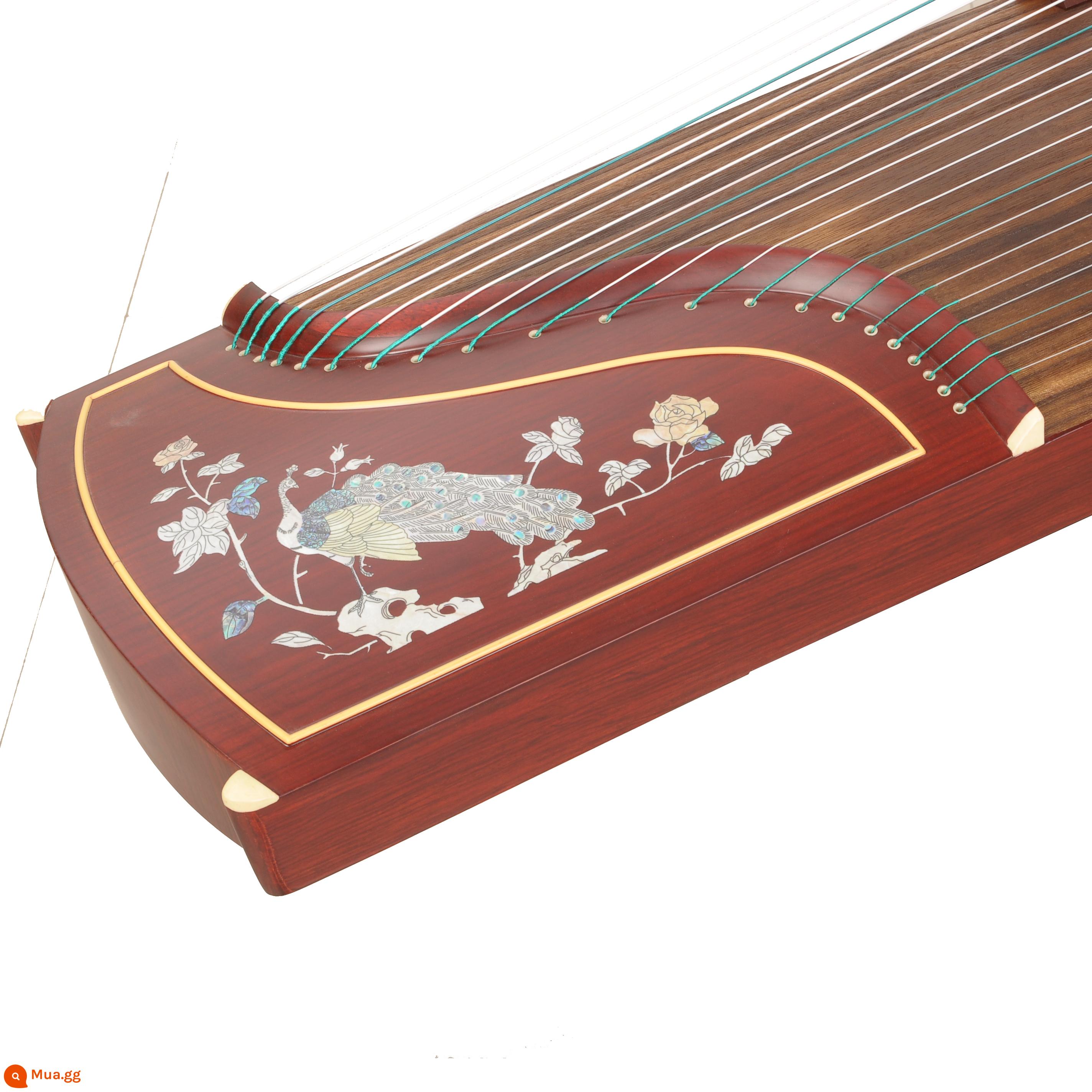 Gỗ nguyên khối 163 guzheng cửa hàng đàn piano khuyến nghị người mới bắt đầu kiểm tra đầu vào giảng dạy cấp độ mười chuyên nghiệp chơi đàn tam thập lục cho trẻ em người lớn - Bộ hoàn chỉnh Peacock Linzhi + ghế đẩu