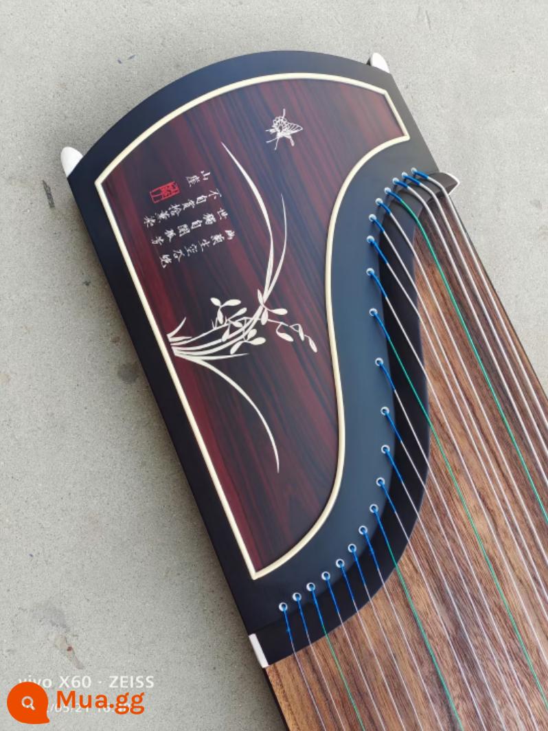 Gỗ nguyên khối 163 guzheng cửa hàng đàn piano khuyến nghị người mới bắt đầu kiểm tra đầu vào giảng dạy cấp độ mười chuyên nghiệp chơi đàn tam thập lục cho trẻ em người lớn - Lan Xứ (trọn bộ + ghế đẩu)