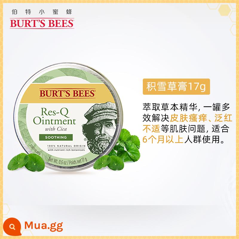 US Bert's Little Bee Universal Comfrey thuốc bôi muỗi đốt trẻ em và trẻ sơ sinh để ngừng ngứa giọt không thể so sánh được - .[Làm dịu] Kem Centella Asiatica 17g