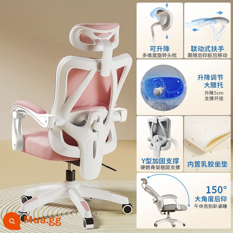 Ghế Ergonomic Ghế Máy Tính Văn Phòng Tại Nhà Ghế Thoải Mái Ít Vận Động Sinh Viên Thể Thao Điện Tử Ghế Phòng Ngủ Ghế Ngả Ghế - Mẫu nâng cấp [khung trắng hồng lưới] hỗ trợ thắt lưng có thể điều chỉnh/ngả lưng/không có chỗ để chân/cao su tích hợp