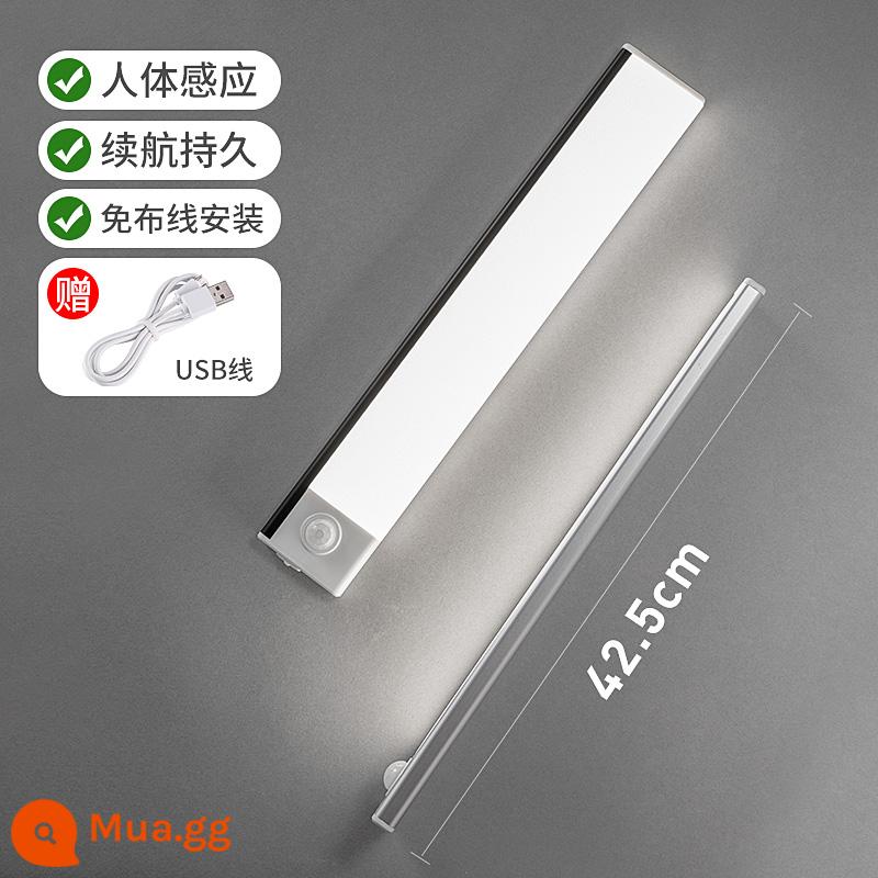 Đèn LED cảm ứng quét tay người thông minh tổng thể đèn tủ có pin sạc loại tủ sách ký túc xá ?Miễn phí lắp đặt gầm xe - Ánh sáng tự nhiên 42,5cm [kiểu sạc + cảm ứng]