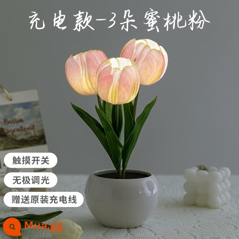 Wanhuo Hoa Hồng Đèn Bàn Trang Trí Phòng Ngủ Đầu Giường Vật Trang Trí Tulip Đèn Ngủ Ánh Sáng Cao Cấp Bầu Không Khí Ánh Sáng - [Đèn ngủ hoa tulip] Màu hồng đào-3 chiếc-phiên bản có thể sạc lại