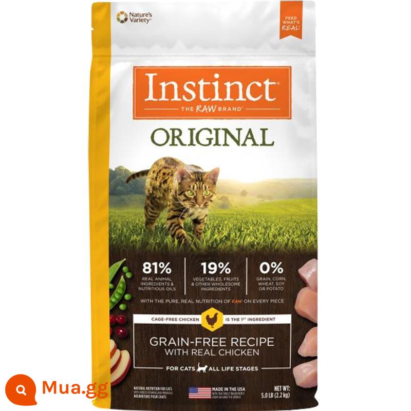 Thức ăn cho mèo Bailey bản năng Hoa Kỳ Thịt gà tươi đông lạnh 10 pounds Thức ăn cho mèo trưởng thành không hạt nguyên bản của Belle - Gà không hạt 5 pound [còn hàng]