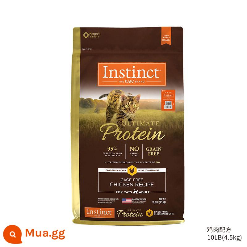 Thức ăn cho mèo Bailey bản năng Hoa Kỳ Thịt gà tươi đông lạnh 10 pounds Thức ăn cho mèo trưởng thành không hạt nguyên bản của Belle - Gà giàu protein vàng 10 pound [có hàng]