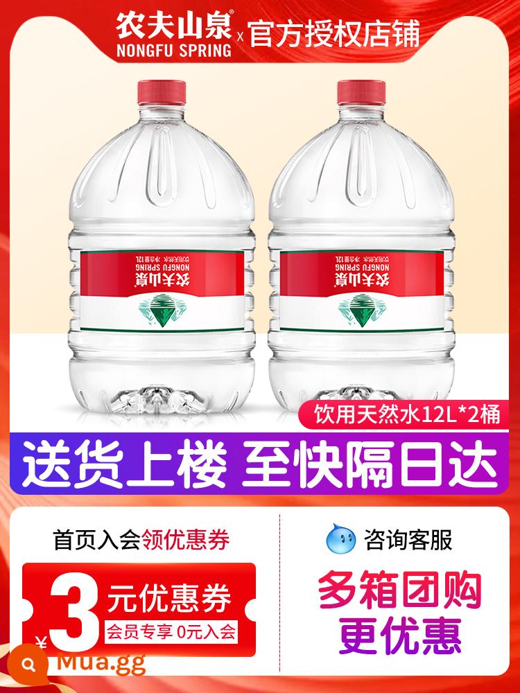 Nongfu Mountain Spring 5L Nước gia đình Nước thùng 5L * 4 Thùng FCL Kiềm yếu tự nhiên 12L Chai lớn Nước khoáng Nước uống - [Nước thiên nhiên 12L*2 thùng] Giao lên lầu