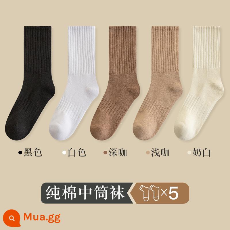 Vớ ống giữa của phụ nữ vớ mùa thu và mùa đông cotton nguyên chất dày cộng với vớ bong bóng nhung ống dài phụ nữ vớ cotton ấm vớ mùa đông - 5 đôi [3316 tất dày đến bắp chân] 1 đen 1 trắng 1 nâu đậm 1 nâu nhạt 1 trắng sữa