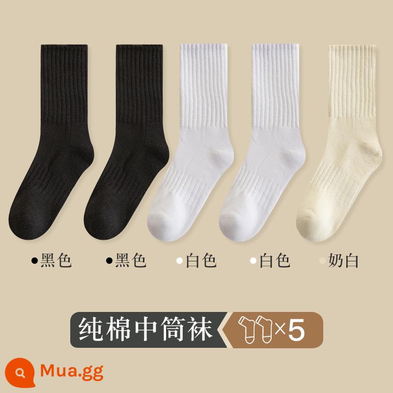 Vớ ống giữa của phụ nữ vớ mùa thu và mùa đông cotton nguyên chất dày cộng với vớ bong bóng nhung ống dài phụ nữ vớ cotton ấm vớ mùa đông - 5 đôi [tất dày đến bắp chân 3316] 2 đen, 2 trắng, 1 trắng sữa