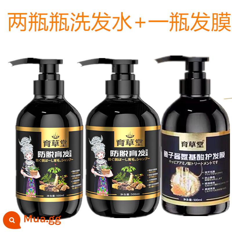 [Xác nhận của Zhu Haimei] Dầu gội chống rụng tóc Yucaotang, Polygonum Multiflorum Hair Growth chính thức Cửa hàng hàng đầu đích thực - 2 chai dầu gội chống rụng tóc + 1 chai mặt nạ tóc axit amin