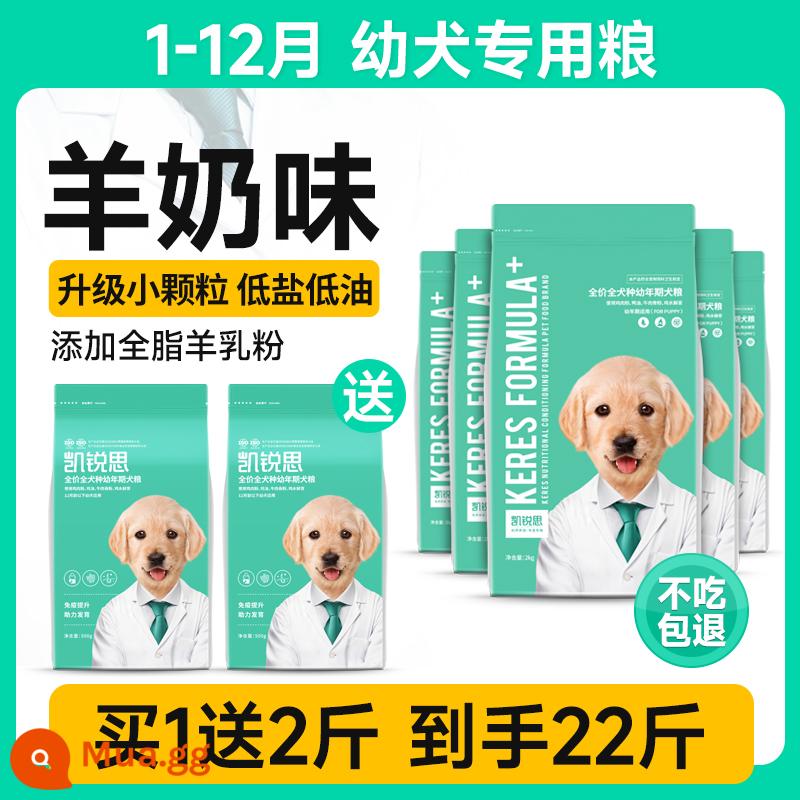 Thức ăn cho chó Keris thức ăn cho chó con Teddy Golden Retriever Bichon Pomeranian Corgi bánh sữa đa năng dành cho chó lớn và nhỏ - [Ưu đãi giá trị lớn, tặng 2 bảng khi mua hàng] Nhận 22 bảng