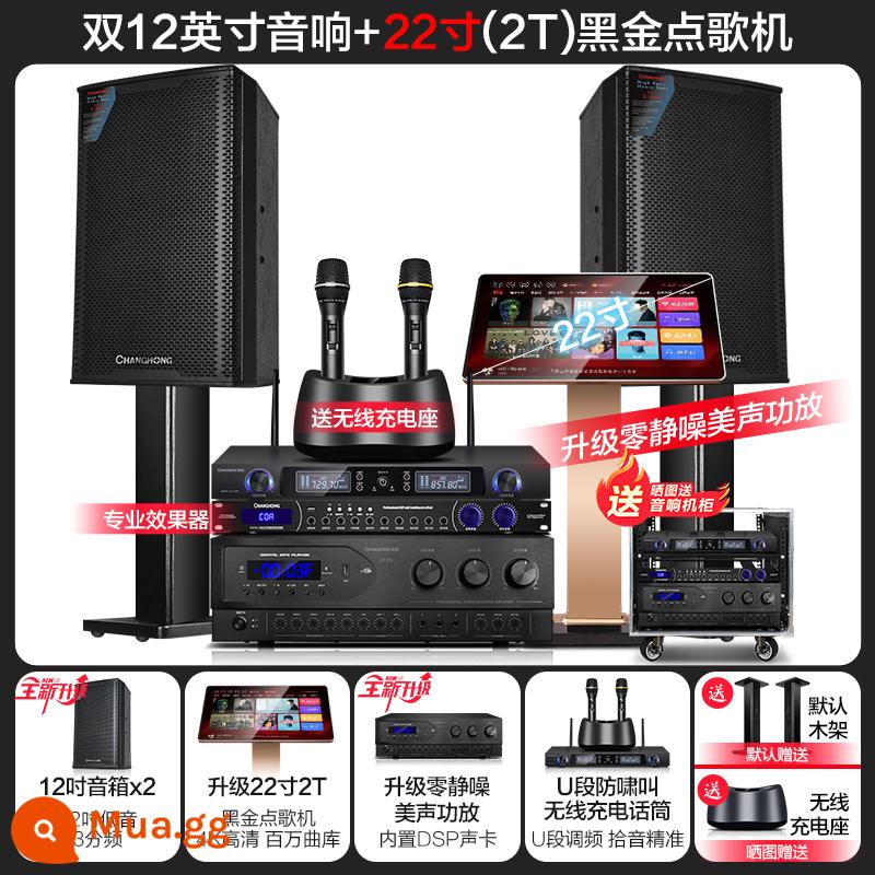 Changhong K10 House KTV Audio Đặt một bộ đầy đủ các bộ khuếch đại năng lượng nhà bài hát Karaokek Song - [18] Dual 12 inch cao cấp + đầu karaoke 22 inch 2T + effector + micro sạc