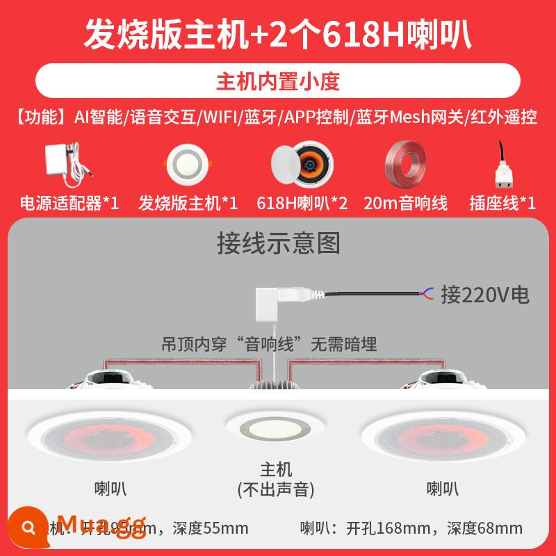 Trần Tmall Quốc Xiaodu Xiaoai Loa Bluetooth Không Dây WIFI Giọng Nói Thông Minh Điều Khiển Giọng Nói Loa Nhà Treo Trần - Người dẫn chương trình cấp độ đam mê Xiaodu + 2 618H