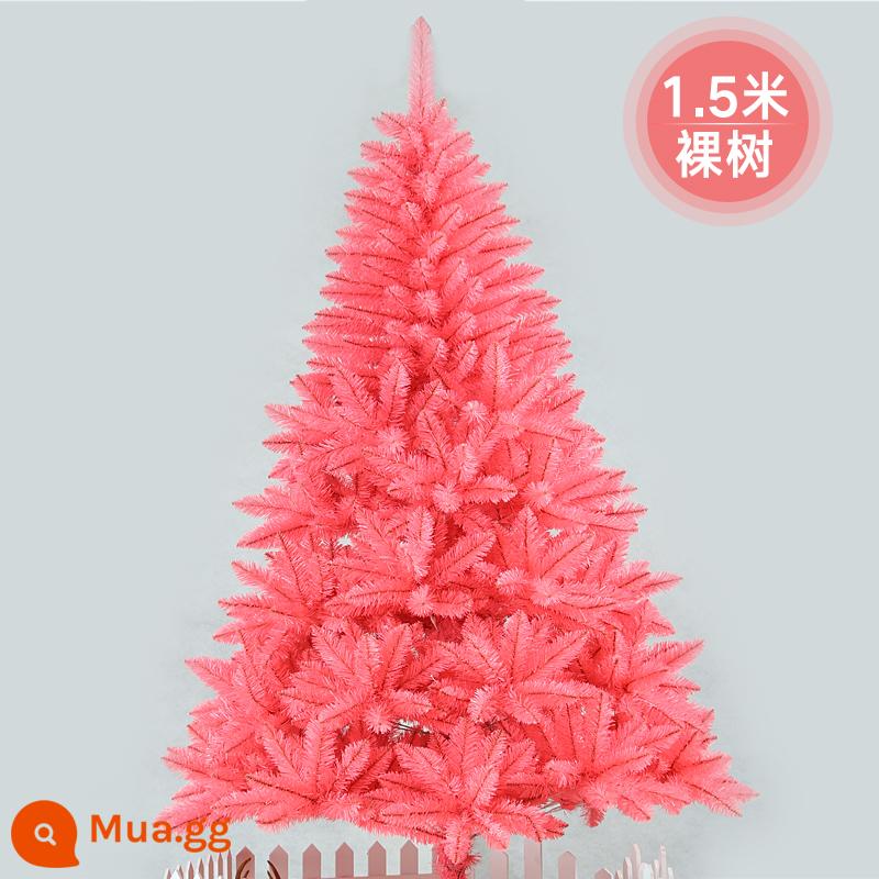 Cây thông Noel cao cấp 1,8 mét gói trang trí Giáng sinh mã hóa cây vàng và đỏ phối màu Bộ phụ kiện nhà - Cây thông Noel màu hồng cao 1,5m (mã hóa)