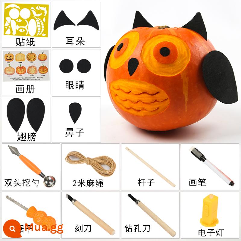 Trẻ Em Chạm Khắc Thật Bí Ngô DIY Halloween Đèn Lồng Bí Ngô Bí Ngô Thùng Đèn Lồng Trang Trí Dụng Cụ Chất Liệu Gói - Mô hình cú (bí ngô lớn + túi đựng dụng cụ bộ 14 món)