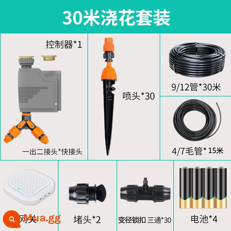 Điện thoại di động điều khiển từ xa thiết bị tưới cây tự động hộ gia đình chậu hoa WIFI điều khiển thời gian thông minh thủy lợi hiện vật - Bộ điều khiển WIFI điện thoại di động RC-06 gói 30 mét