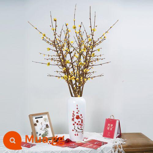 Wintersweet cành khô thủy canh liễu tuyết hoa đào ngọc mận cây thủy canh để bàn trong nhà hoa kiểng cây xanh khi gặp nước - Wintersweet chọn lọc [80 cm] 6 nhánh + 2 chai dung dịch dinh dưỡng