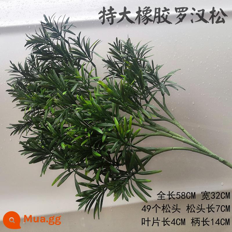 Mô phỏng lá thông đón cành thông Luo Hansong hoa nhựa thông bách cảnh cành giả làm đẹp lá thông lá thông - Podocarpus cao su cực lớn