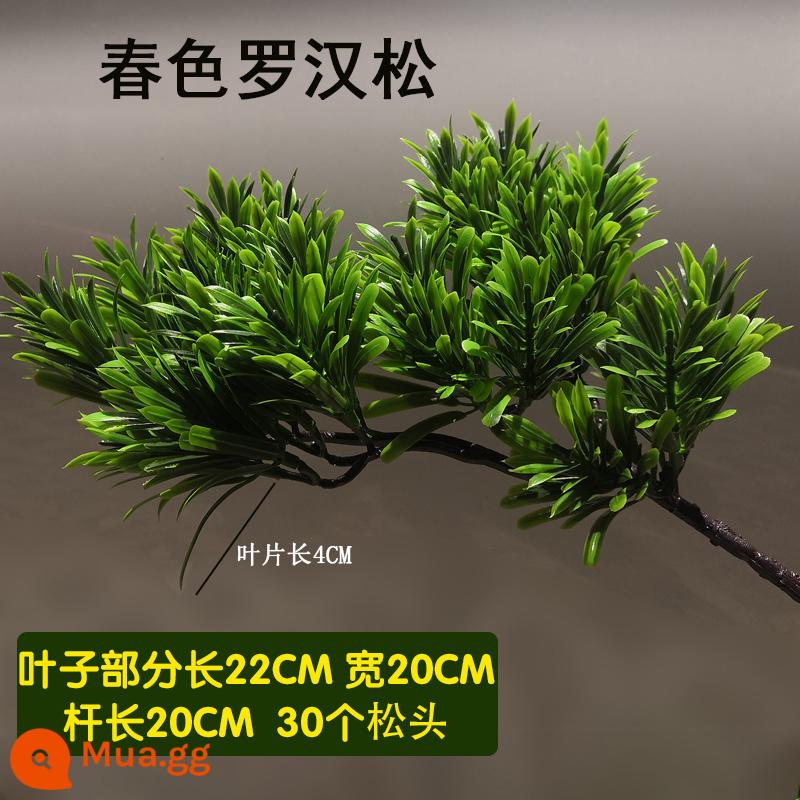 Mô phỏng lá thông đón cành thông Luo Hansong hoa nhựa thông bách cảnh cành giả làm đẹp lá thông lá thông - Spring Podocarpus (tặng 1 nếu mua 10 cái trở lên)