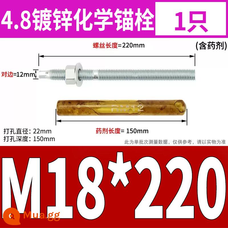 M8M10M12M14M16-M30 Thép không gỉ 304 neo hóa chất vít mở rộng hóa chất vít hóa chất hình nón ngược - Cấp 4,8 M18*220